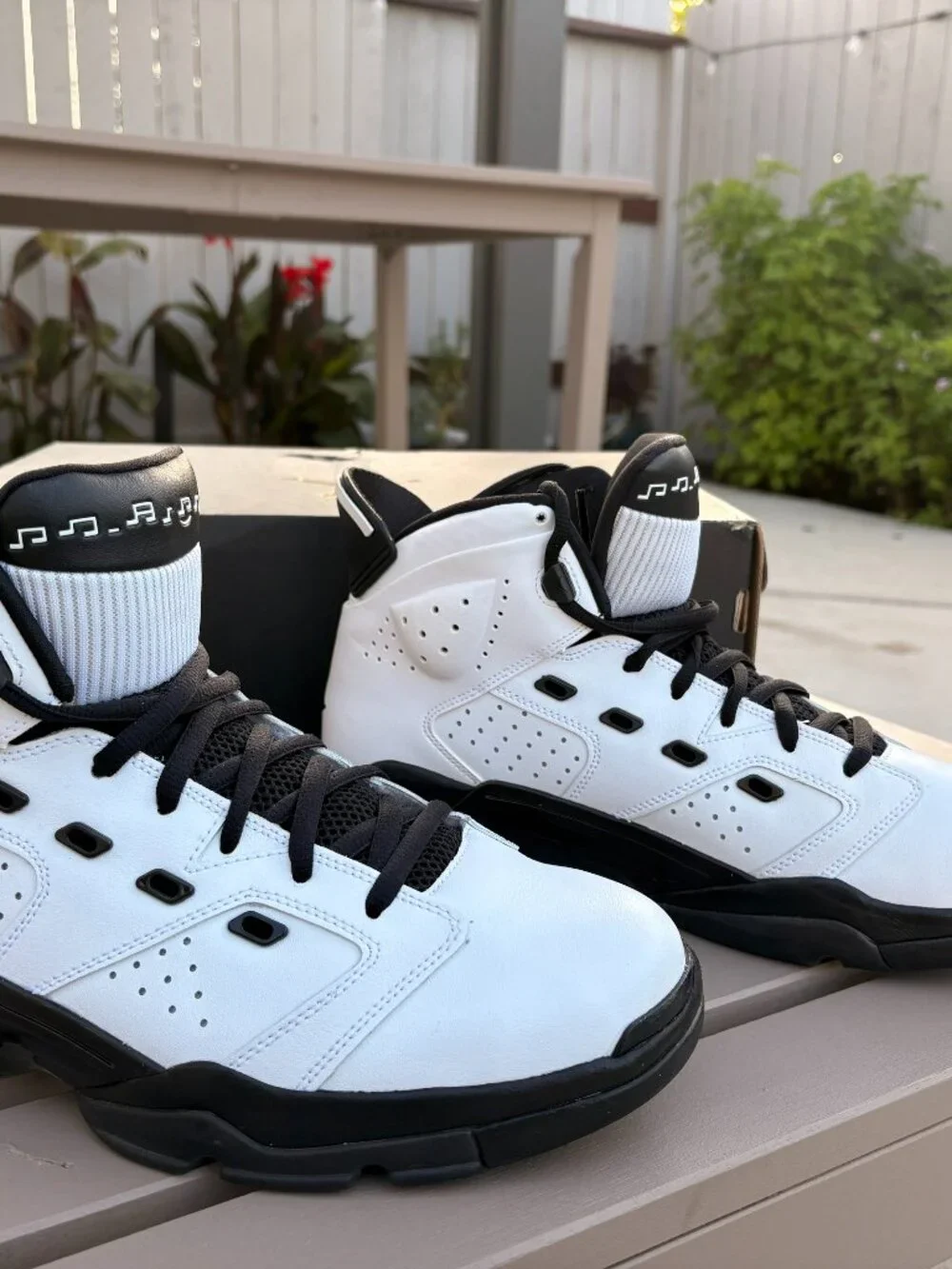 Jordans 6-17-23 Motorsport